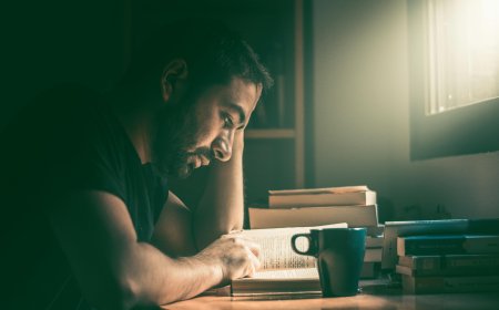 TOP 6 trường đại học tốt nhất ở New Zealand