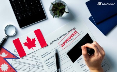 Visa du học Canada: Yêu cầu, quy trình và lợi ích