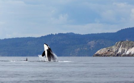 Học bổng du học Canada dành cho sinh viên quốc tế