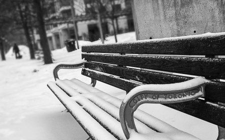 Top 20 trường đại học nhỏ nhất trên thế giới