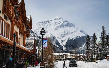 Quy định về Giấy Phép Làm Việc Sau Tốt Nghiệp Tại Canada (PGWP)