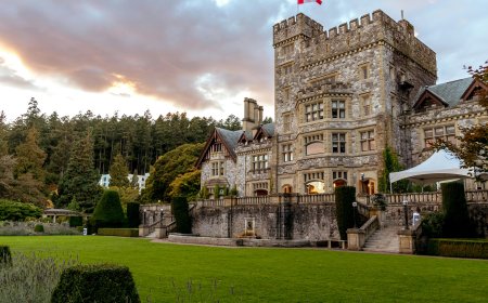 Tất tần tật về các loại Visa tại Canada: Hướng dẫn chi tiết cho người mới