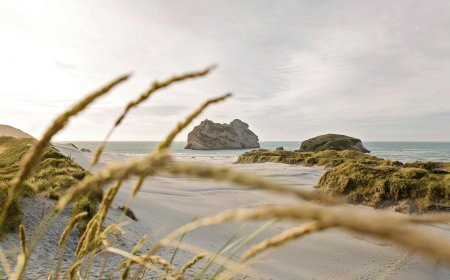 Quy định về Giấy phép làm việc sau tốt nghiệp tại New Zealand