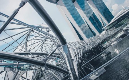 Tất tần tật về các loại Visa tại Singapore: Hướng dẫn chi tiết cho người mới