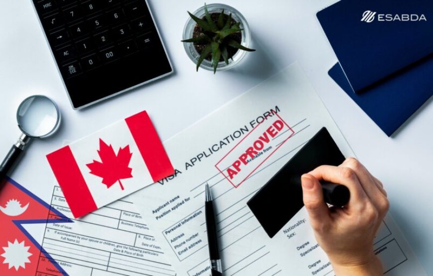 Visa du học Canada: Yêu cầu, quy trình và lợi ích